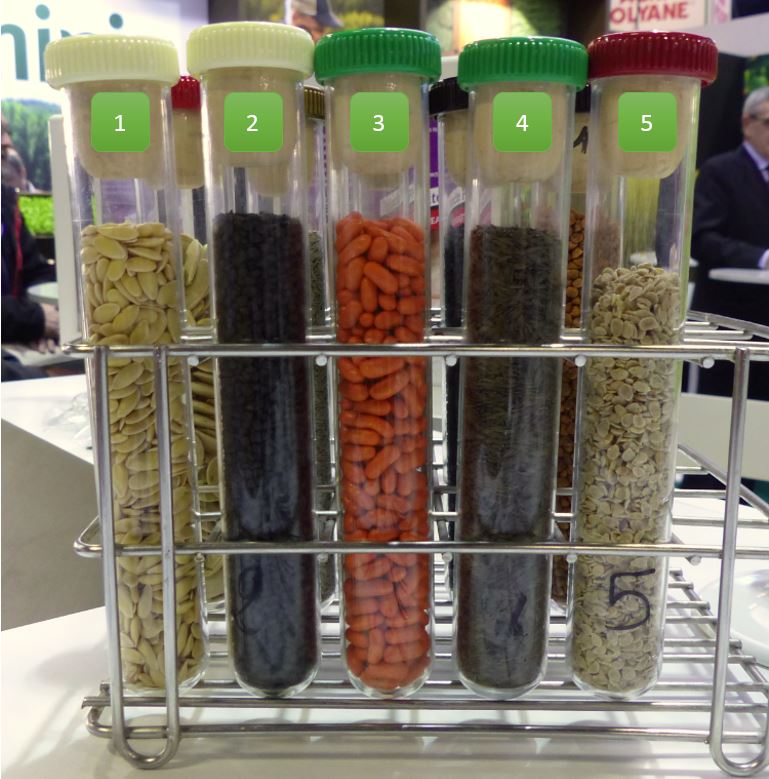 Tube 1 = Melon Tube 2 = Oignon Tube 3 = Haricot Tube 4 = Salade Tube 5 = Tomate