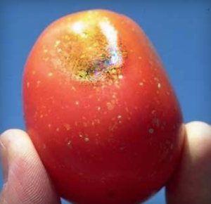 Gold fleck: light-tan and golden-yellow spots on ripe red fruit.