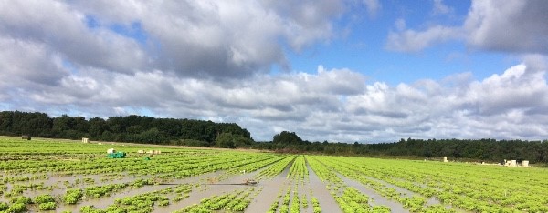 Dans les pas de… Morgane Grassely(2) : Son analyse pour la Bretagne, la Normandie, le Pays Nantais et Angers