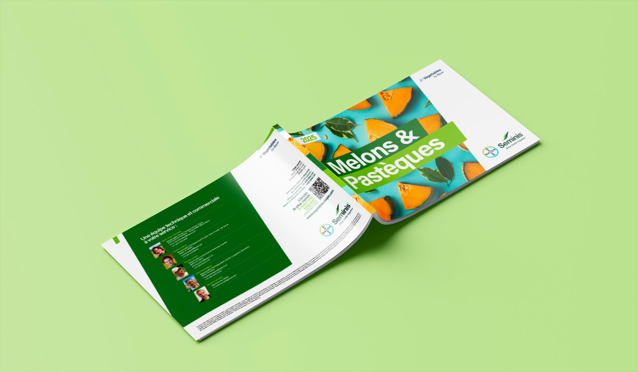 catalogue melons pasteques