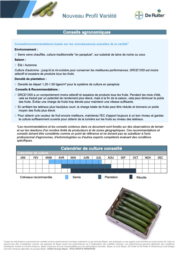 leaflet concombre DRCE1355