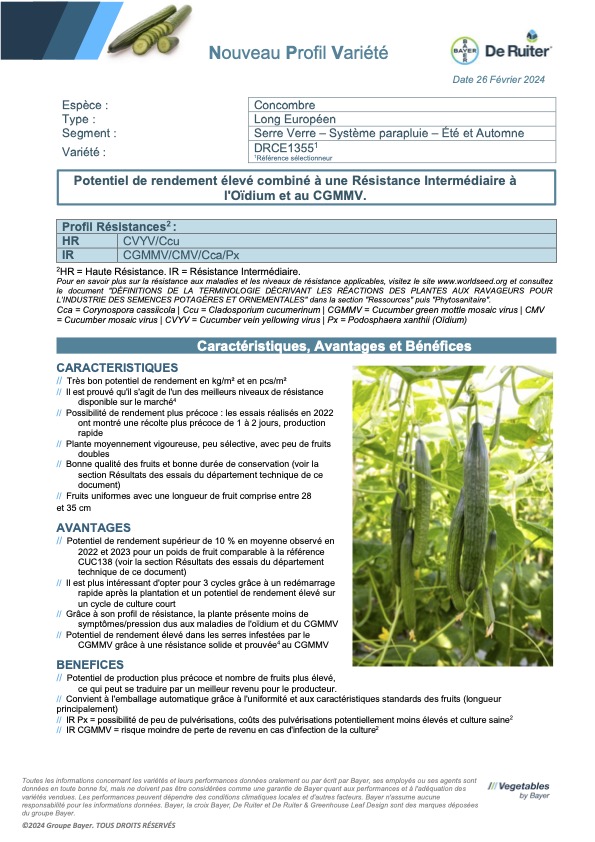 Leaflet concombre DRCE1355
