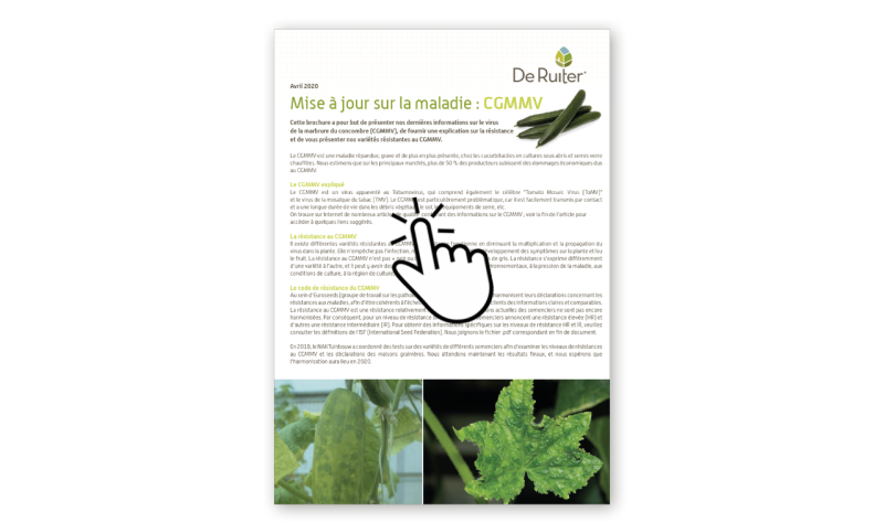 DR_LL_CGMVV_Cucumber_FINAL_FR-Pogo