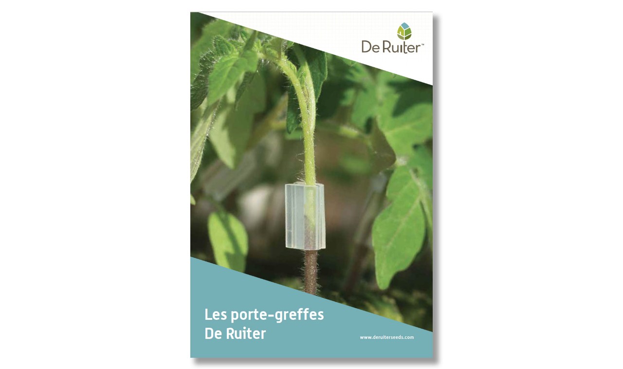 Notre Catalogue Porte-Greffe
