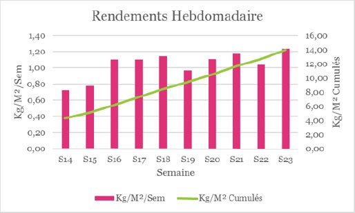 Nous constatons un diamètre moyen de 28mm et un poids moyen de 12grammes.