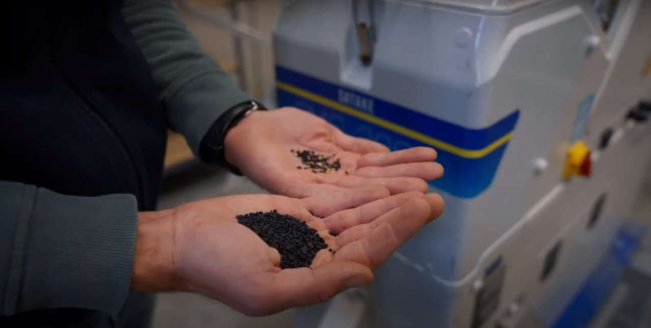 Journey of a Seed - Part 2