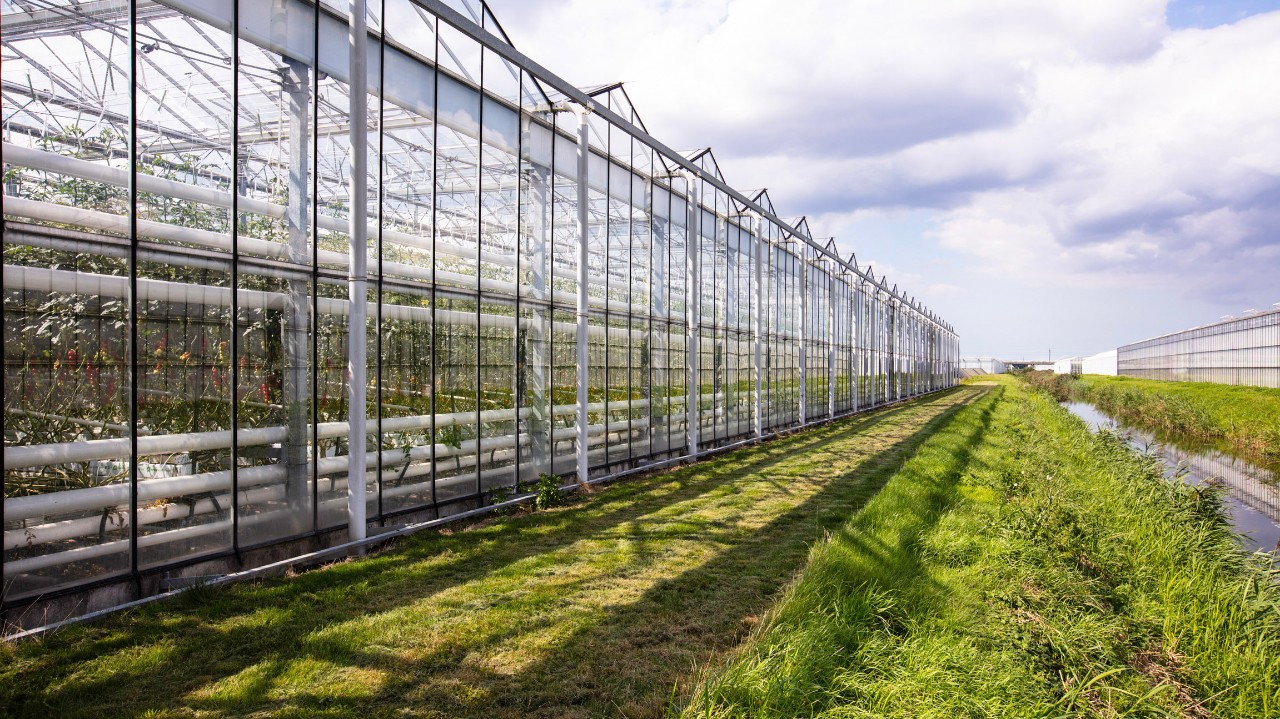 Crop data