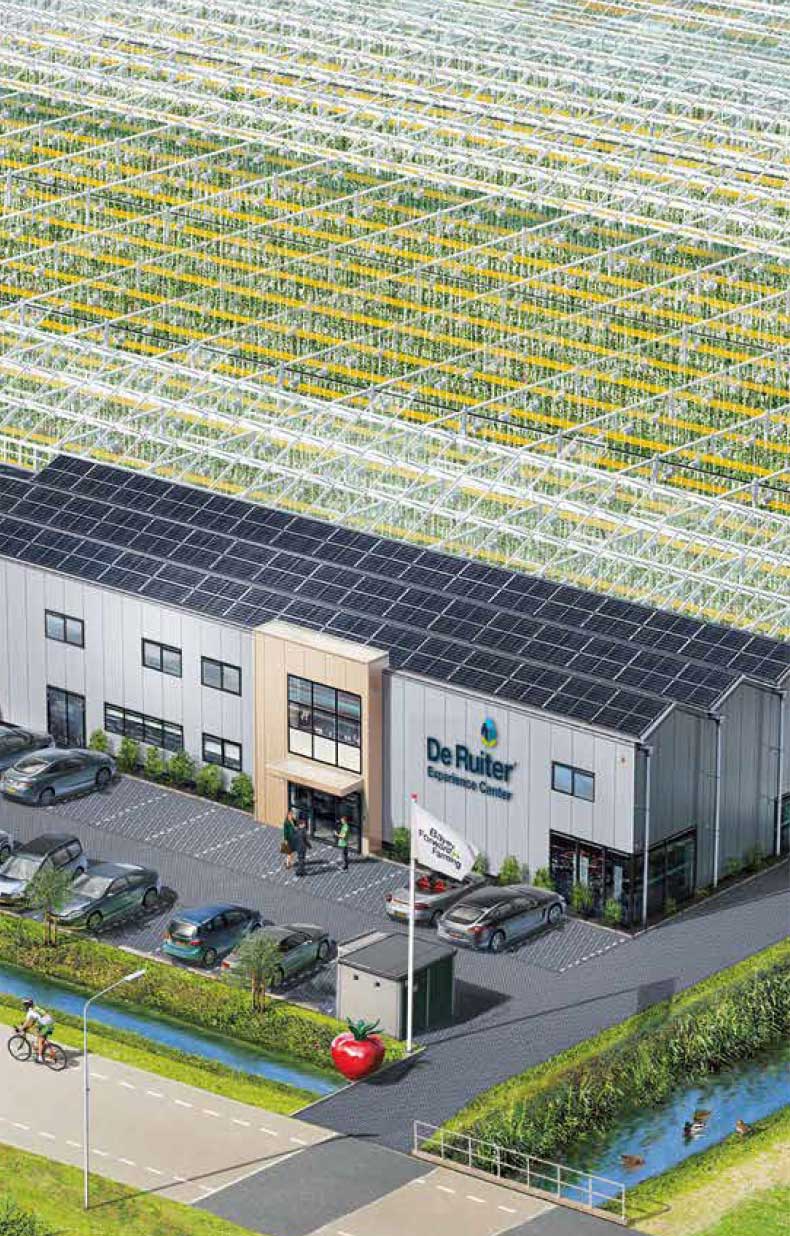 Glasshouse illustration