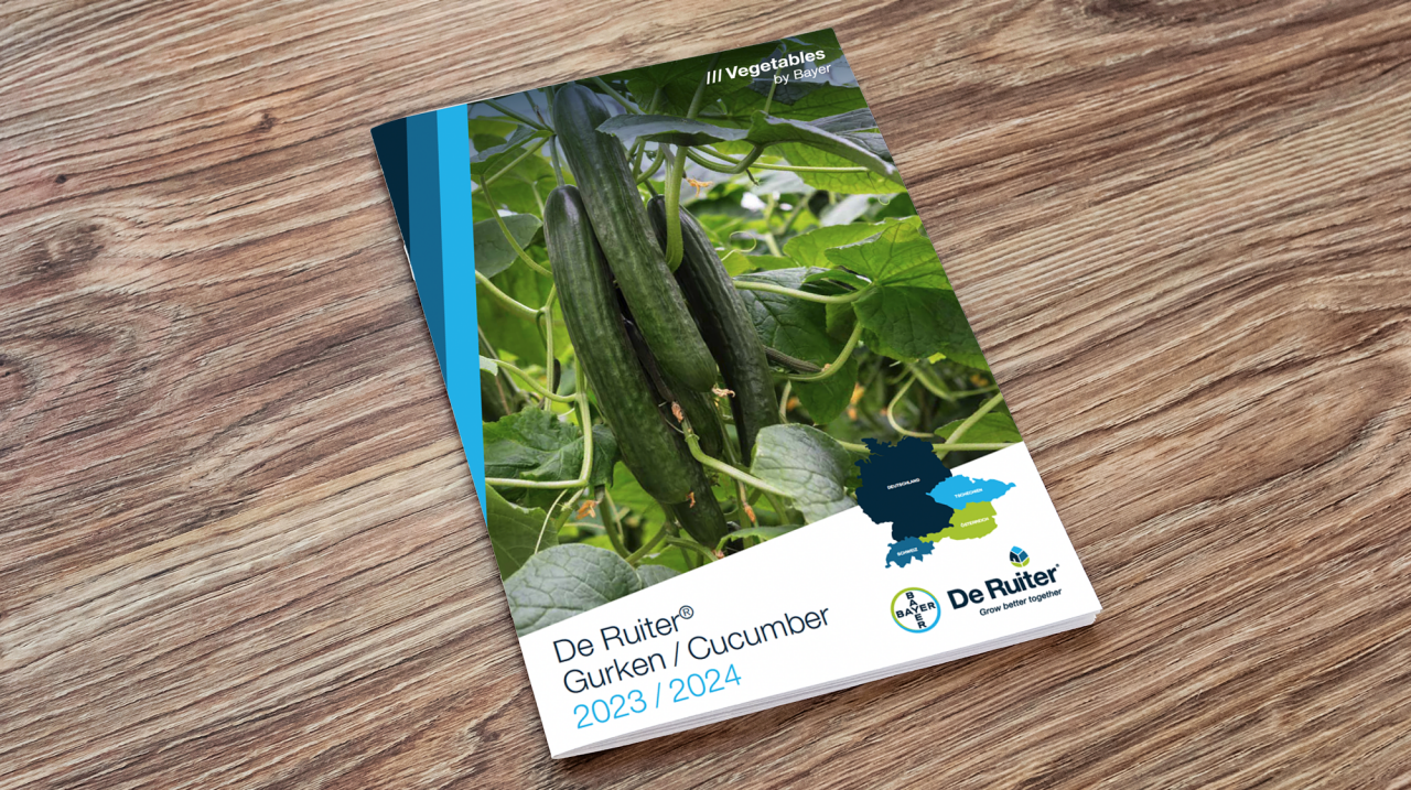 Cucumber brochure