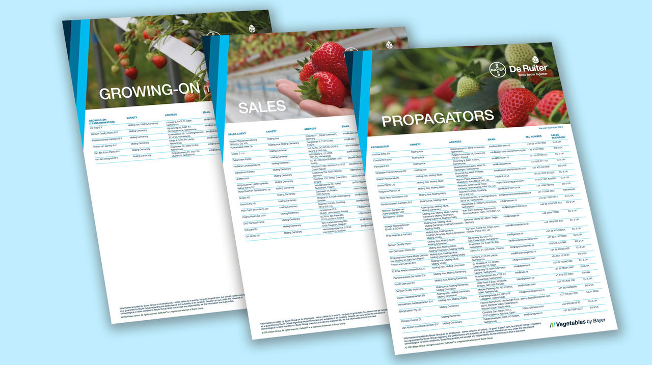 Strawberry providers