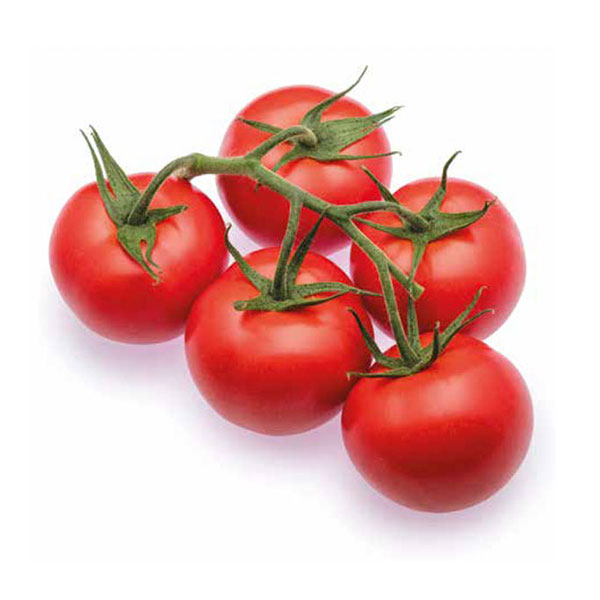tomatoes