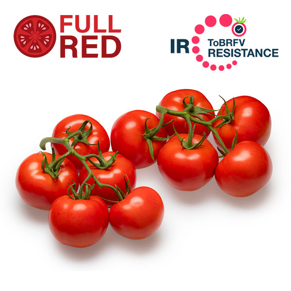 Grandice Res details page