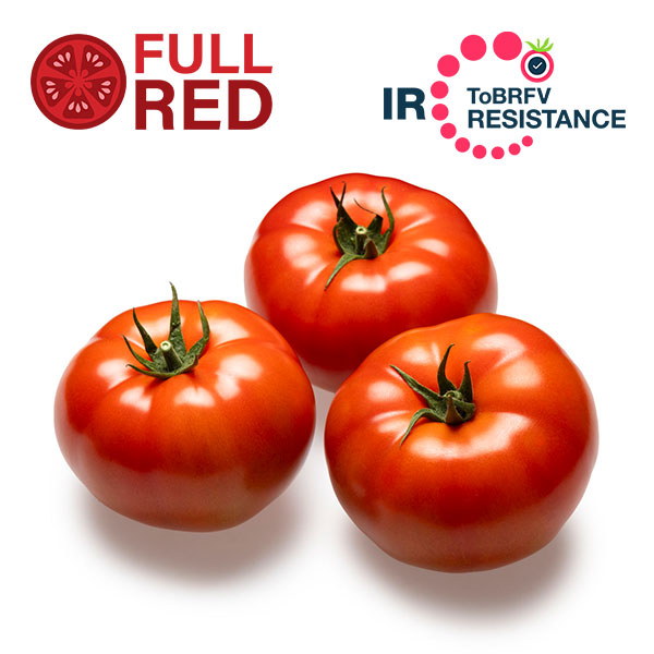 Riboski details page