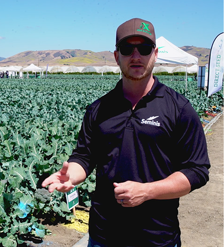 seed quality and health