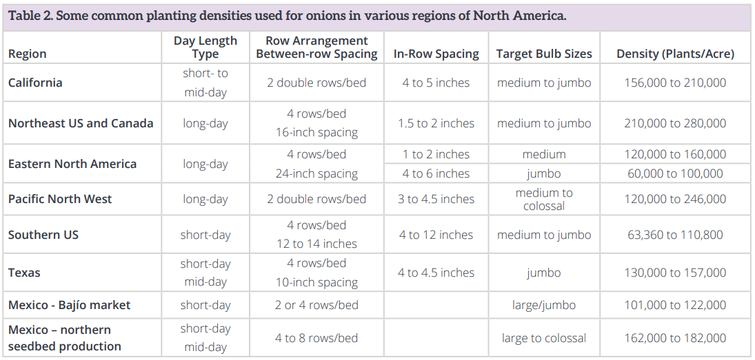 Onion Planting Density