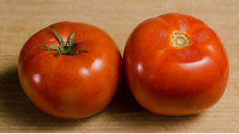 Figure 1. The jointed tomato on the left has part of the fruit stem and calyx attached, while the jointless tomato on the right does not.