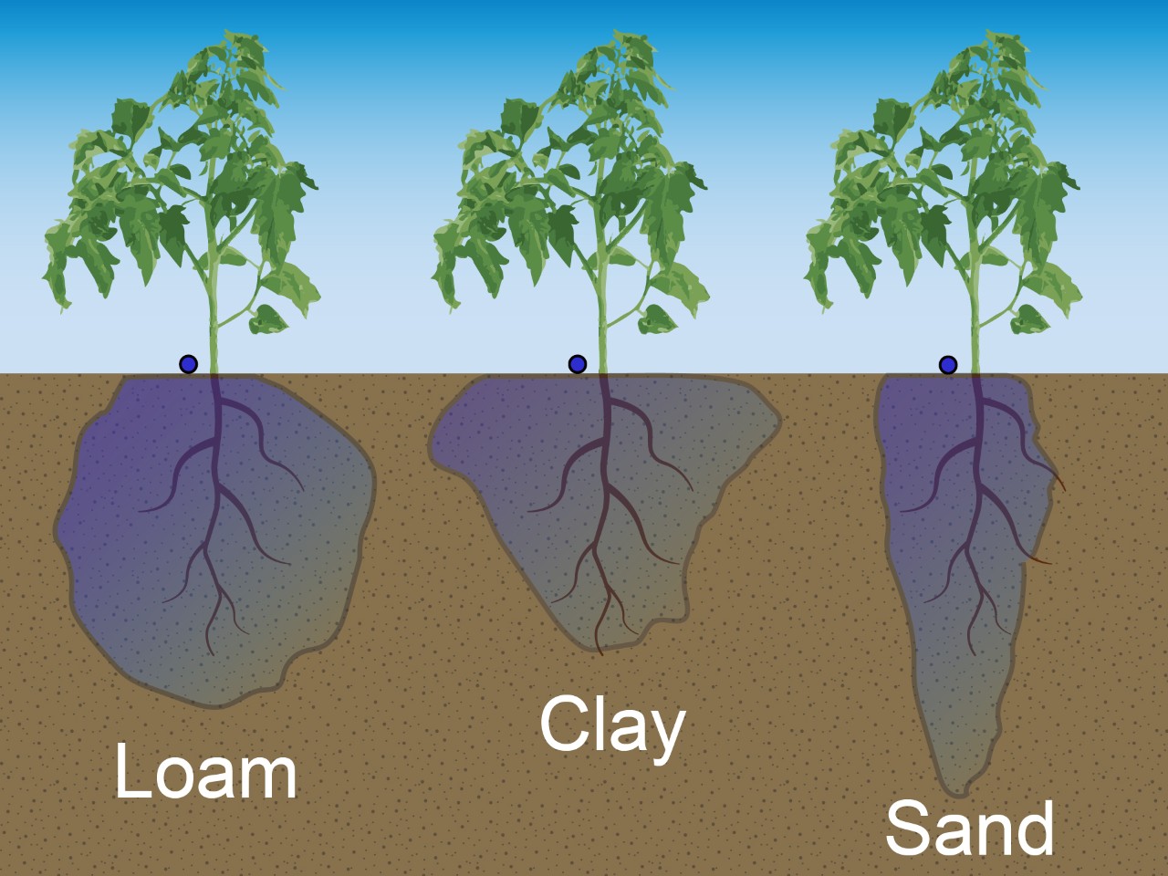 Water Penetration in Loam, Clay, and Sand Soils