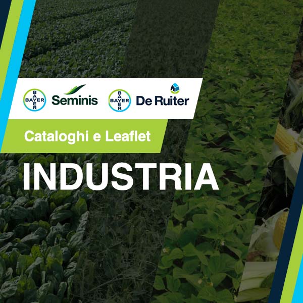 catalogo industria