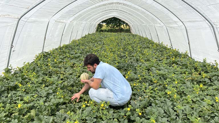L’azienda agricola di Mirko Brizi
