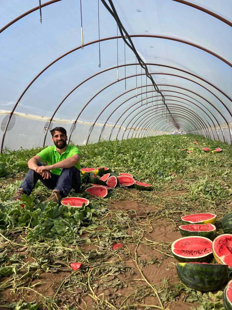 Le migliori varietà di anguria Seminis - Marco Napolitano Breeder anguria Vegetables by Bayer