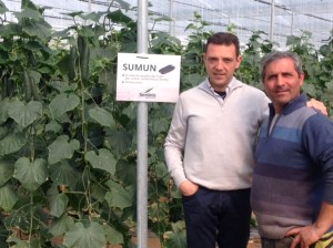  Ezio Cacciaguerra, Sales promoter Seminis®, con Giovanni Lo Scalzo