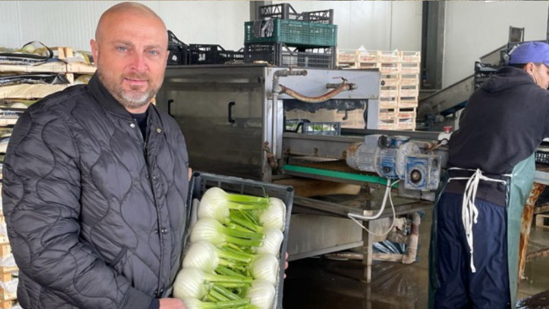 Varietà invernale medio-tardiva con ciclo di circa 130 giorni