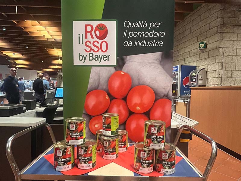 pomodoro da industria Vegetables by Bayer