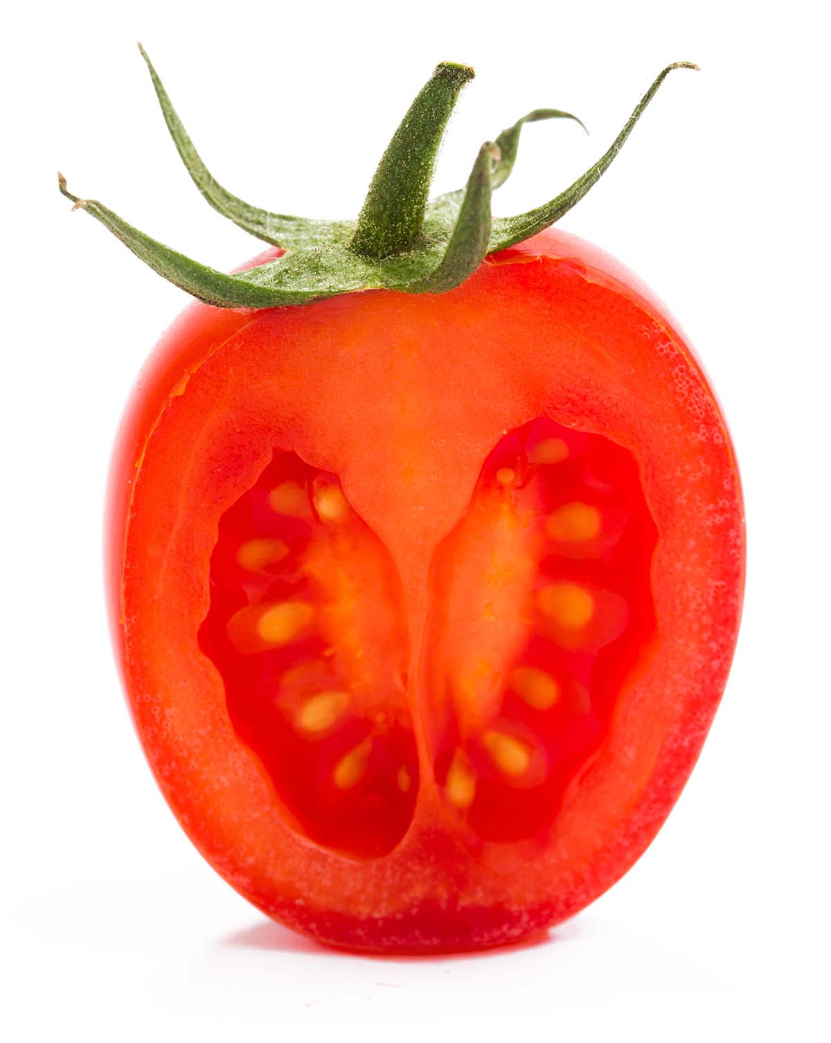 pomodoro maraskino seminis