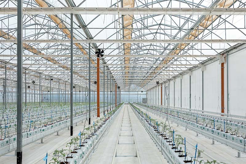 Nuova serra a tecnologia avanzata - Vegetables di Bayer