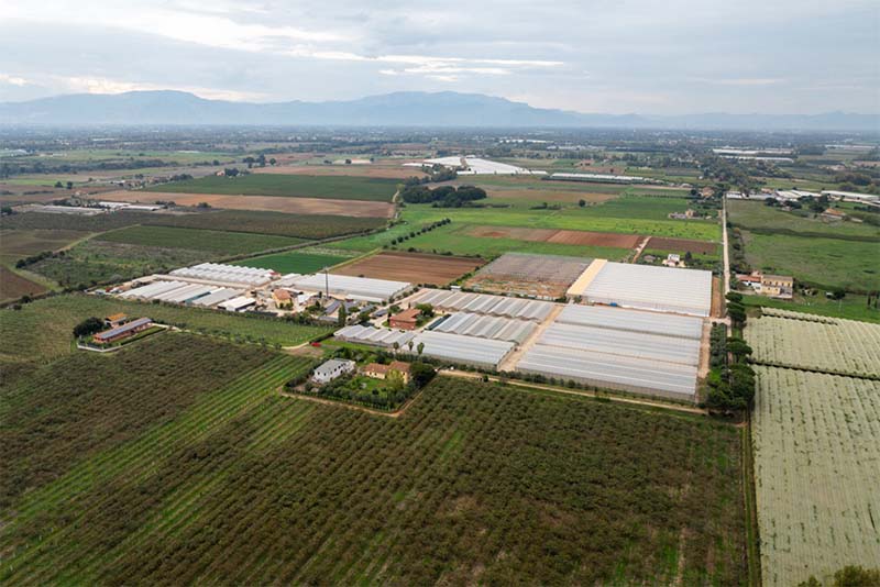Centro ricerche di Latina - Vegetables di Bayer