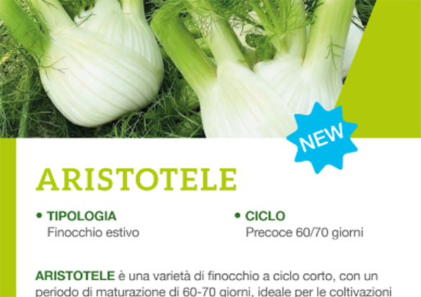 Catalogo interattivo per smartphone