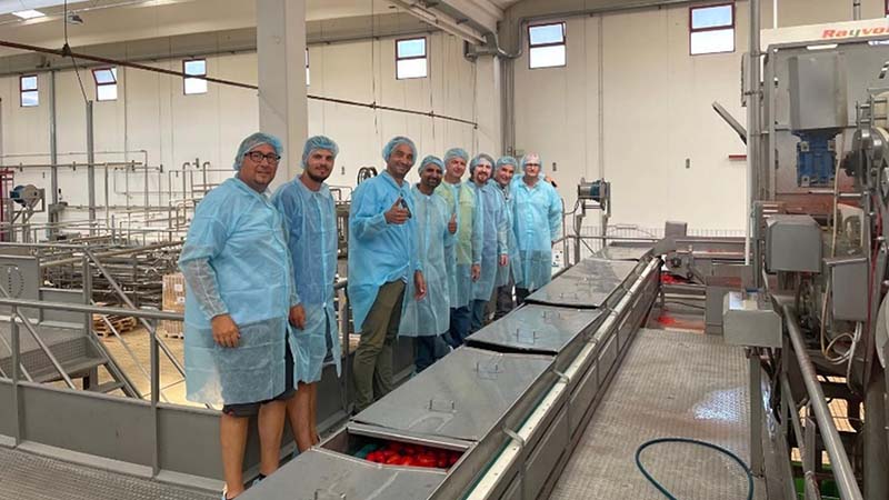 pomodoro da industria Vegetables by Bayer