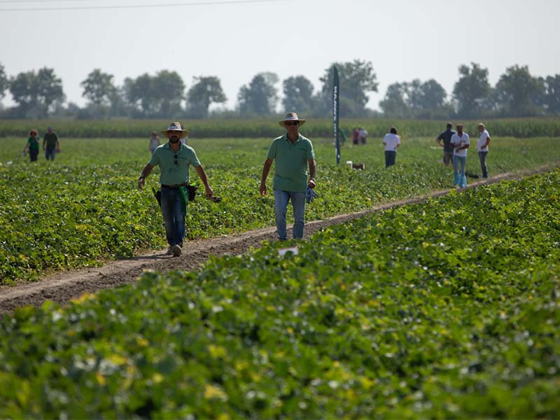 Gallery | Simposio del Melone Mantovano IGP