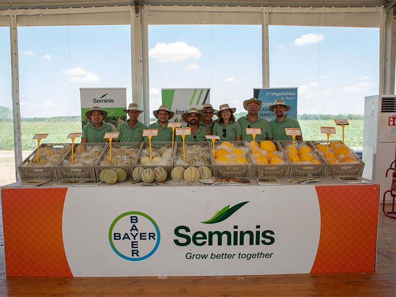 Gallery | Simposio del Melone Mantovano IGP