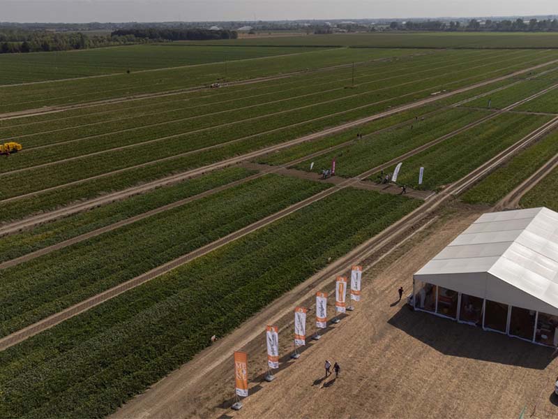 Gallery | Simposio del Melone Mantovano IGP