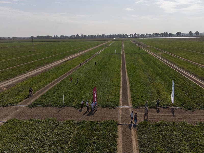 Gallery | Simposio del Melone Mantovano IGP