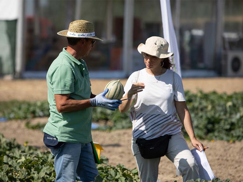 Gallery | Simposio del Melone Mantovano IGP