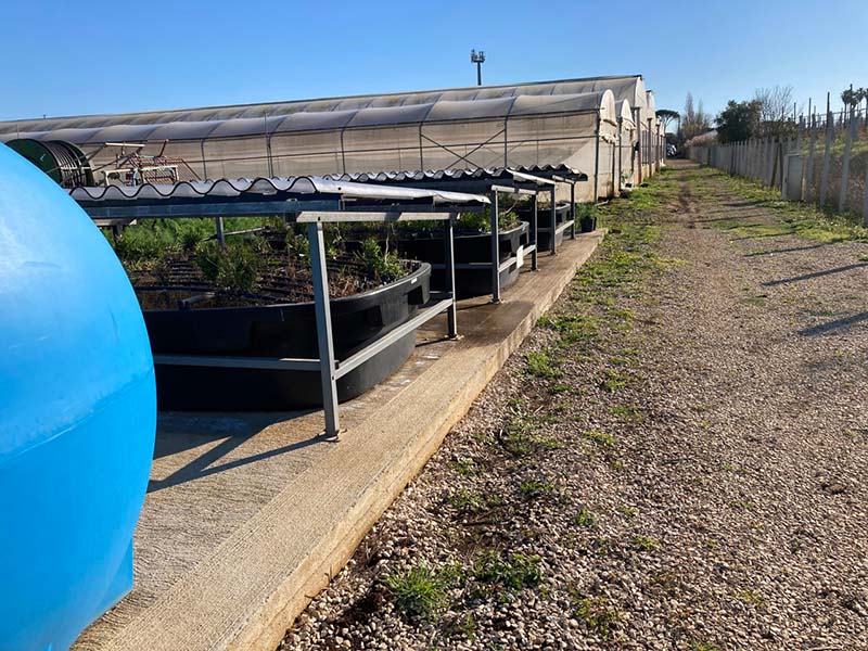 Centro Ricerche Bayer Crop Science di Latina - Phytobac 