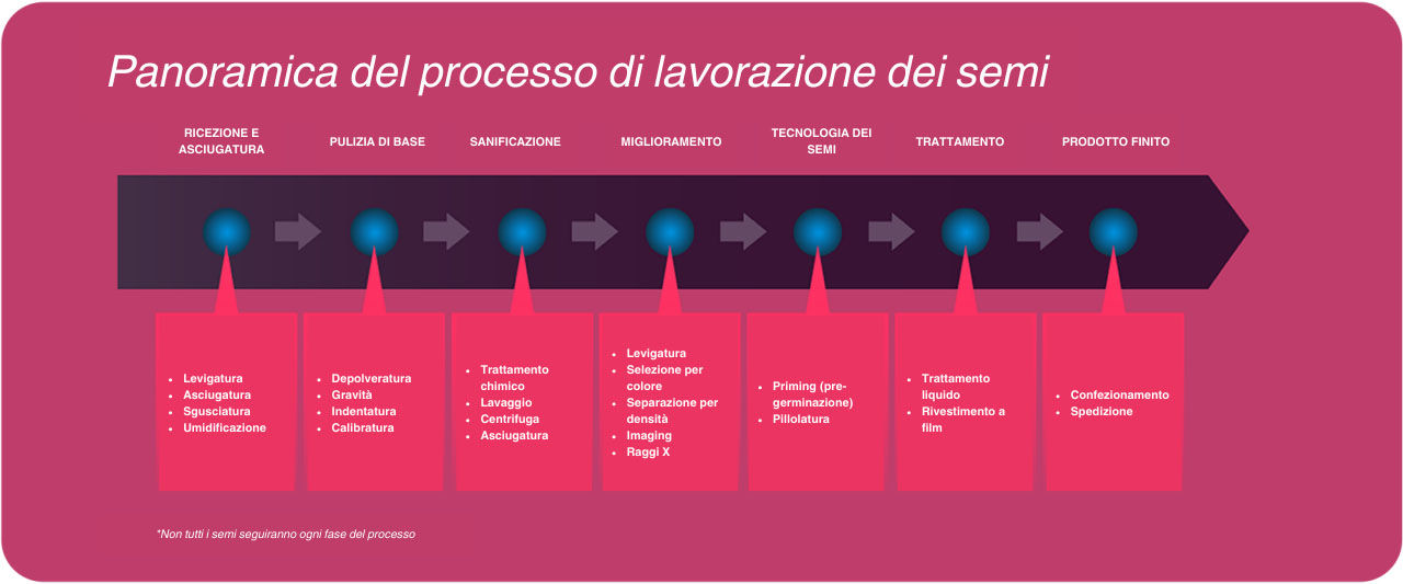 La lavorazione del seme può includere ricezione, essiccazione, pulizia e sanificazione delle sementi