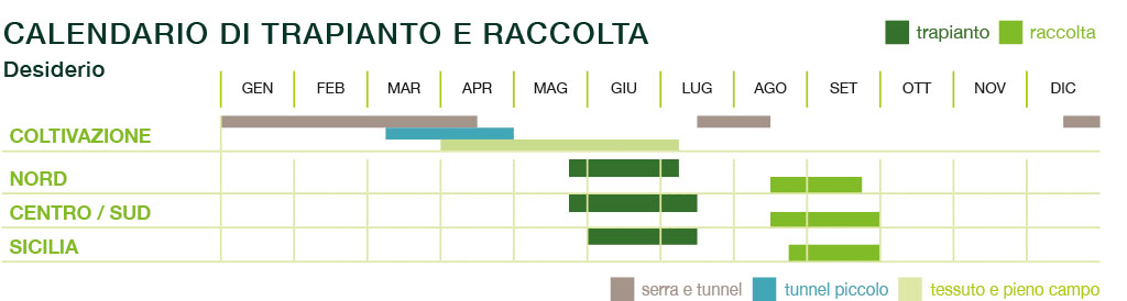 calendario melone desiderio