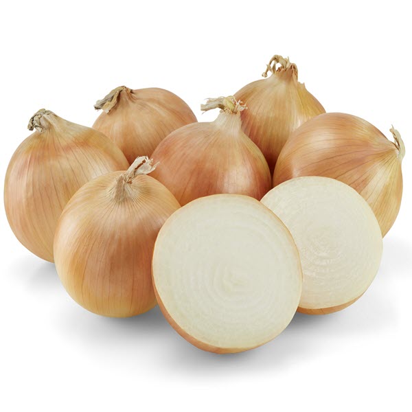 cipolla