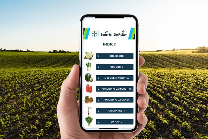 Sfoglia il catalogo interattivo per Smartphone