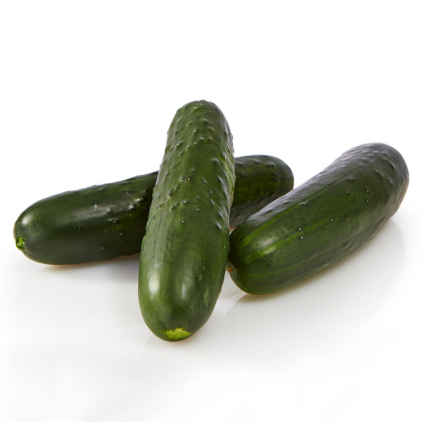 Cucumber