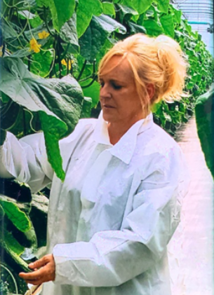 Figure 6. Sunscald symptoms. Howard F. Schwartz, Colorado State University, Bugwood.org.