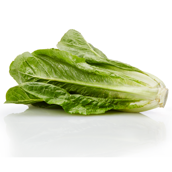Lettuce