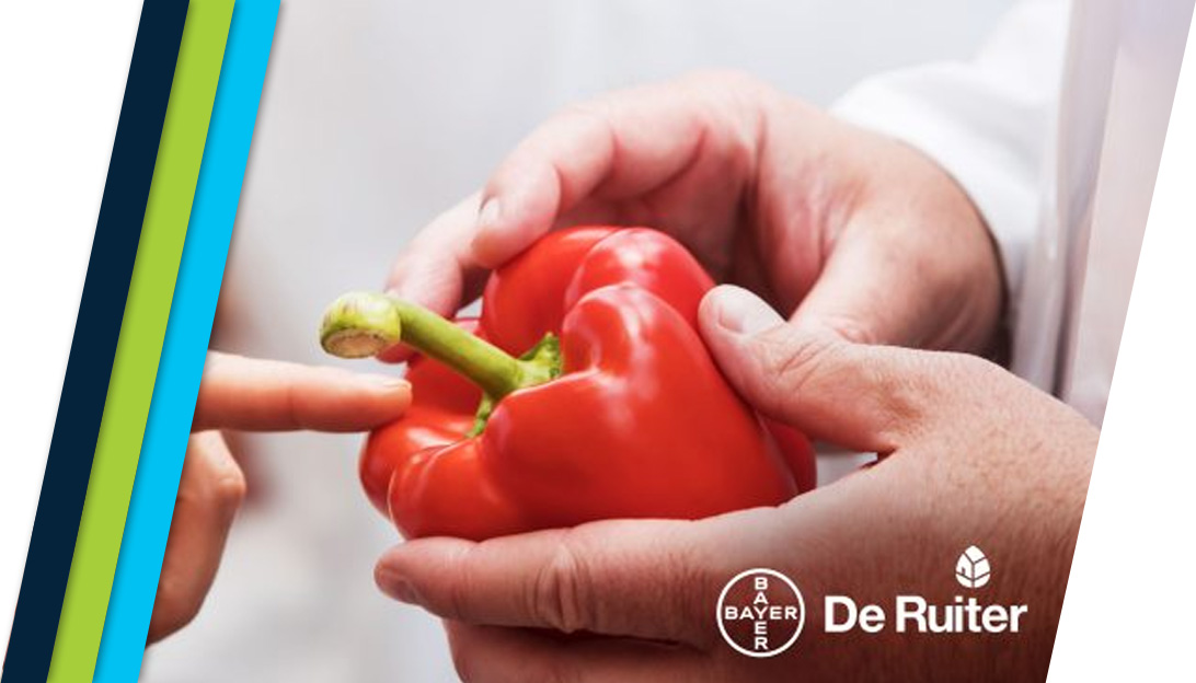 vegetales