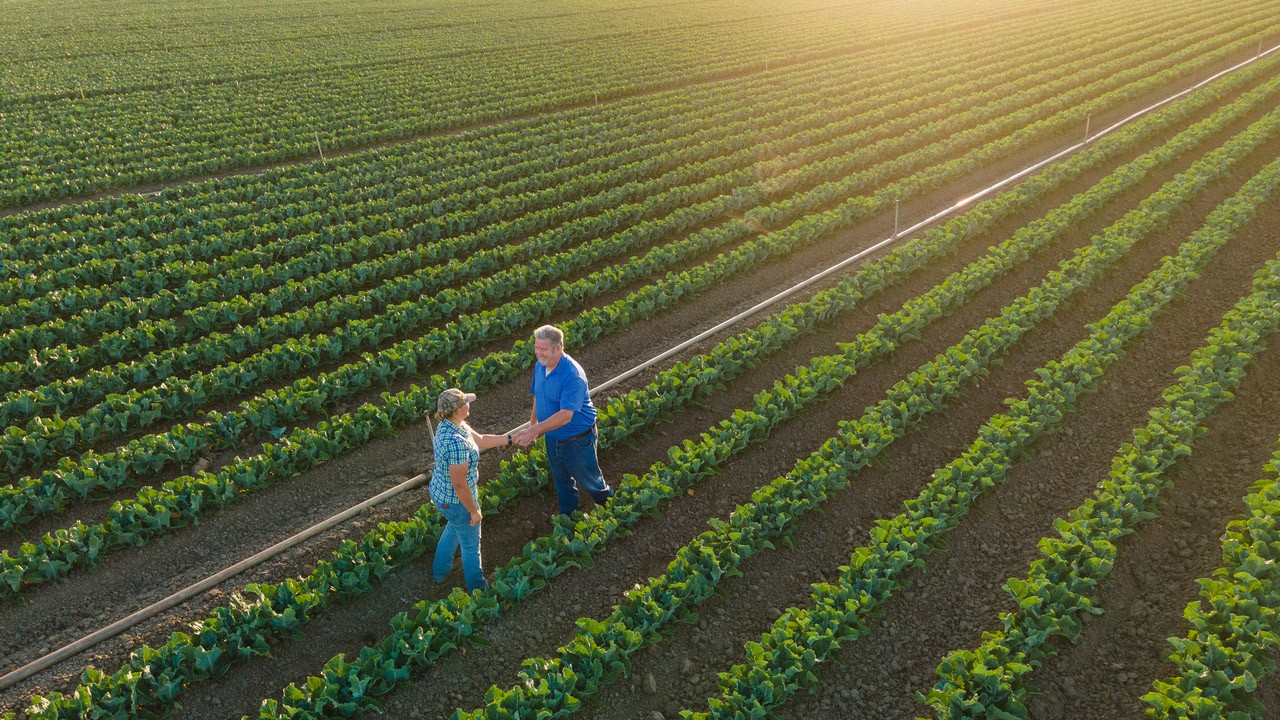 Creciendo más allá