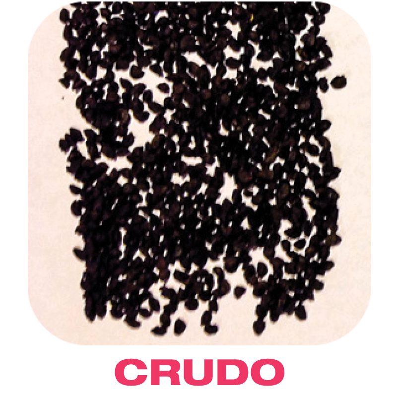 Crudo