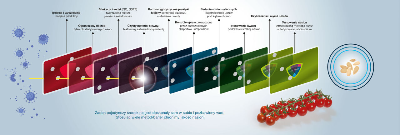 22-213_Infographic maatregelen tomatenvirus_NL_2022_v1-holes