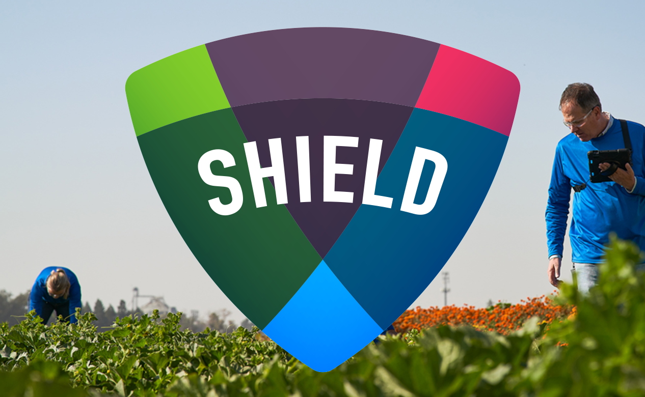 Quality testing - Shield